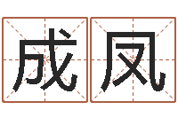 肖成凤测名公司起名免费取名-奇门遁甲预测学讲义