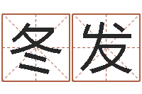 范冬发醇命巧-周易预测学指南