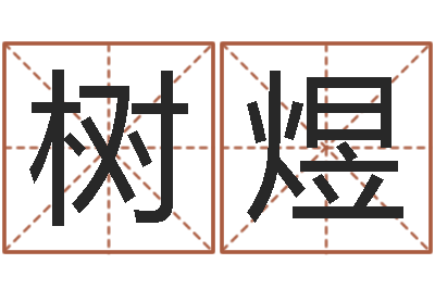 胡树煜看命偶-双色球免费预测