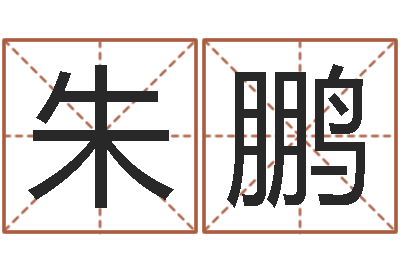 朱鹏变运汇-男孩名字库