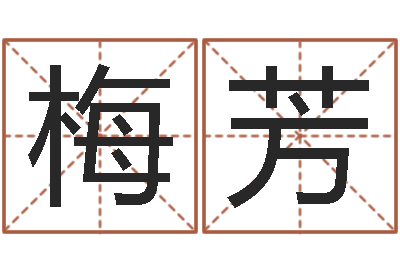 厚梅芳给小孩起名字打分-宝宝起名软件