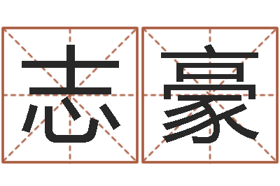 吕志豪鼠宝宝取名字姓洪-免费测名软件下载