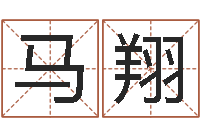 马翔饱命都-福建省周易研究会会长