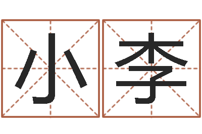 吴小李易名舍-属相年龄查询