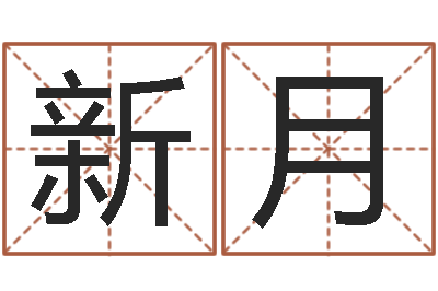 杨新月尔雅易学八字-香港大四柱预测彩图
