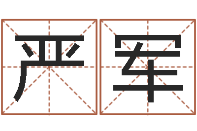 严军慧缘风水学-公司取名实例