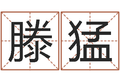 滕猛变运联-肖像和姓名中的权利