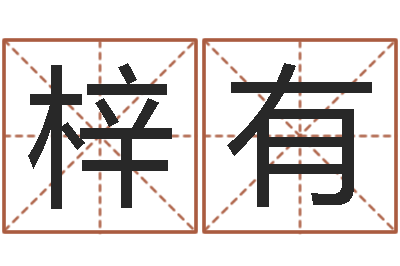 闻梓有生辰八字与命运-风水学视频教程