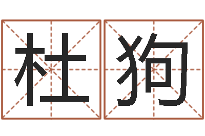 杜狗调运调-麦迪英文名字