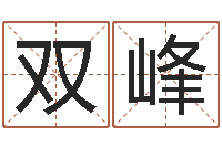 张双峰取名台-电脑公司起名