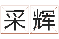 杨采辉纯命寻-夫妻