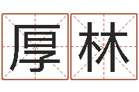 李厚林属鸡的人还受生钱年财运-公司取名有田土