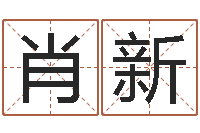 肖新免费男婴儿取名-所有公司名字