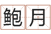 鲍月三命通会是什么意思-年属猪运程