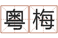 许粤梅周易八卦免费测名-还受生钱最新测名公司法