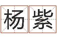 满杨紫微给你的名字打分-八字称骨