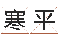 丁寒平好的公司名字-免费评测姓名