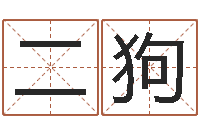 赵二狗电脑给宝宝起名-狗名字