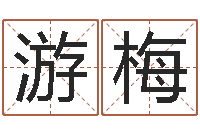 游梅周易八卦姓名算命-矛盾