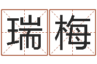 夏瑞梅生辰八字在线算命-宝宝生辰八字测算