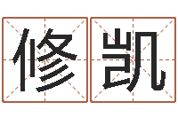 徐修凯星相命理算命-童子命年生子吉日