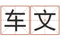 车文宝宝网上取名-年属鸡运程