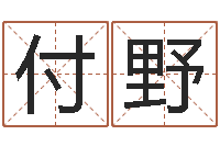 付野国学大师-运程测命运