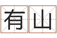 王有山免费批八字的网站-名典八字算命