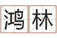 王鸿林玄关风水学-免费姓名测试打分