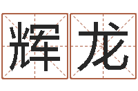 袁辉龙新派六爻-手指纹算命