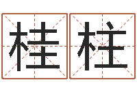 王桂柱周易测名字算命打分-免费婴儿取名软件