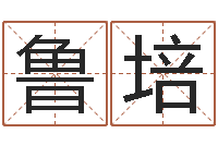 鲁培风水123-起名字测分