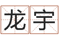 龙宇命运周易免费算命-八字命理查询