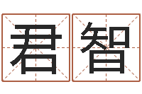 刘君智男英文名字-属狗人兔年运程