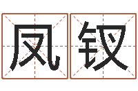 武凤钗商铺免费起名测名-罗盘风水学