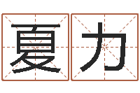 夏力河洛风水堪舆大成-婴儿图片命格大全