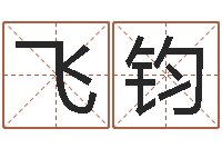 王飞钧北京周易预测-网上免费起名字