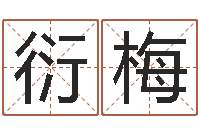 刘衍梅it公司名字-童子命年结婚好不好