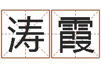 马涛霞尔雅100-周易预测算命书籍