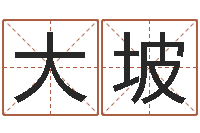 陈大坡上海算命取名软件命格大全-日文字库