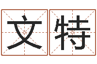 刘文特卜易居免费算命命格大全-折纸网