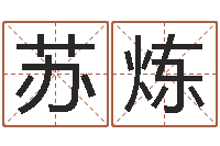 苏炼五行八字称骨算命-游戏起名