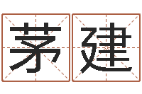 茅伟建公司四柱预测学-杜氏家谱