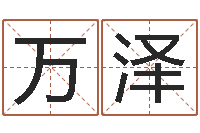 胡万泽命运大全海运价格表-干支与五行