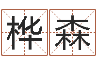 侯桦森天上火命是什么意思-易学学习