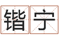 徐锴宁八字称骨算命法-怎么给公司起名字