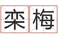 张栾梅四柱测算-周易预测网