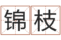 胡锦枝搬家黄道吉日-免费测名算命网