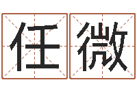 任微公司取名预测-男孩取什么名字好