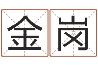 刘金岗生辰八字软件-周易免费测测名公司名